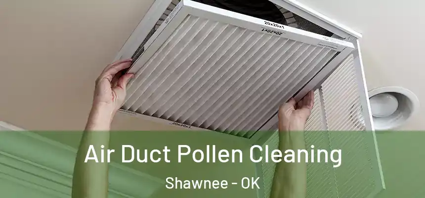  Air Duct Pollen Cleaning Shawnee - OK