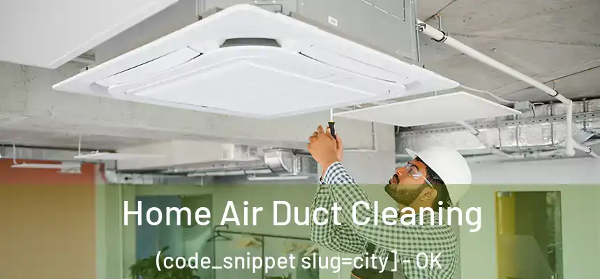  Home Air Duct Cleaning (code_snippet slug=city] - OK