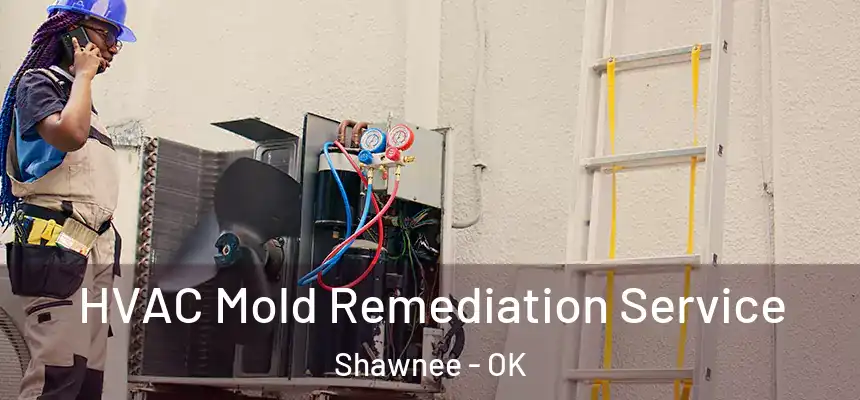 HVAC Mold Remediation Service Shawnee - OK