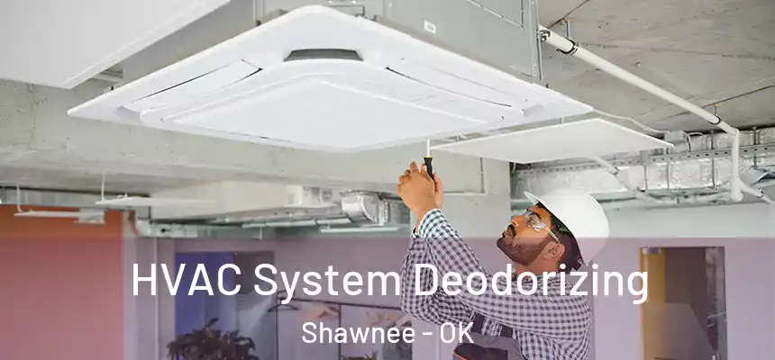 HVAC System Deodorizing Shawnee - OK