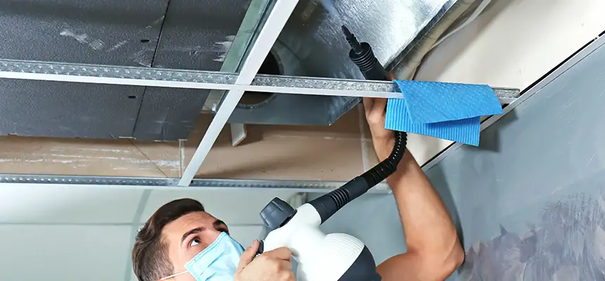 Our Air Duct Rodent Removal Services in Shawnee, OK
