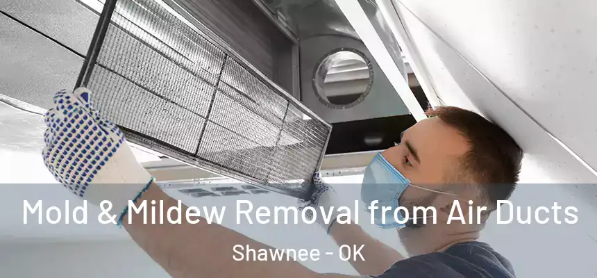 Mold & Mildew Removal from Air Ducts Shawnee - OK