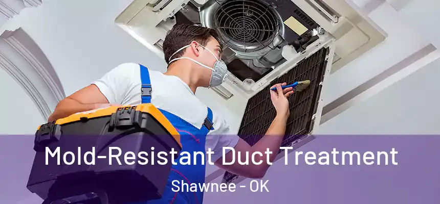  Mold-Resistant Duct Treatment Shawnee - OK