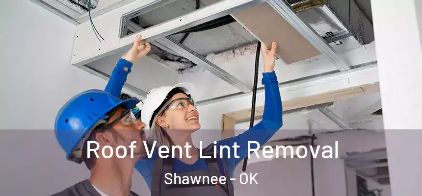 Roof Vent Lint Removal Shawnee - OK