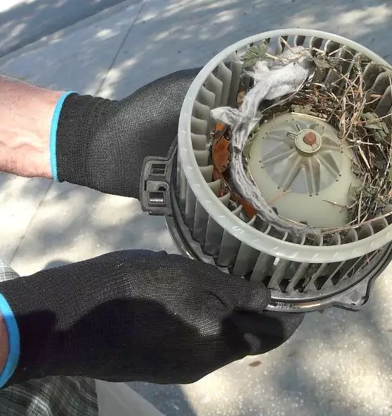 About Air Duct Mice Removal in Shawnee, OK