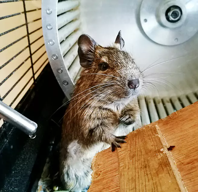 Why Homeowners & Businesses Trust Us Shawnee, OK